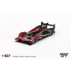 Mini GT Acura ARX-06 GPT n40 Wayne Taylor Racing Sebring 12hrs Winner 2024 Escala 1/64 MGT00837