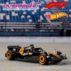 Hot Wheels 2024 Formula 1 Race Team Set de 5 - Escala 1/64 JGF58