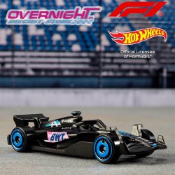 Hot Wheels 2024 Formula 1 Race Team Set de 5 - Escala 1/64 JGF58